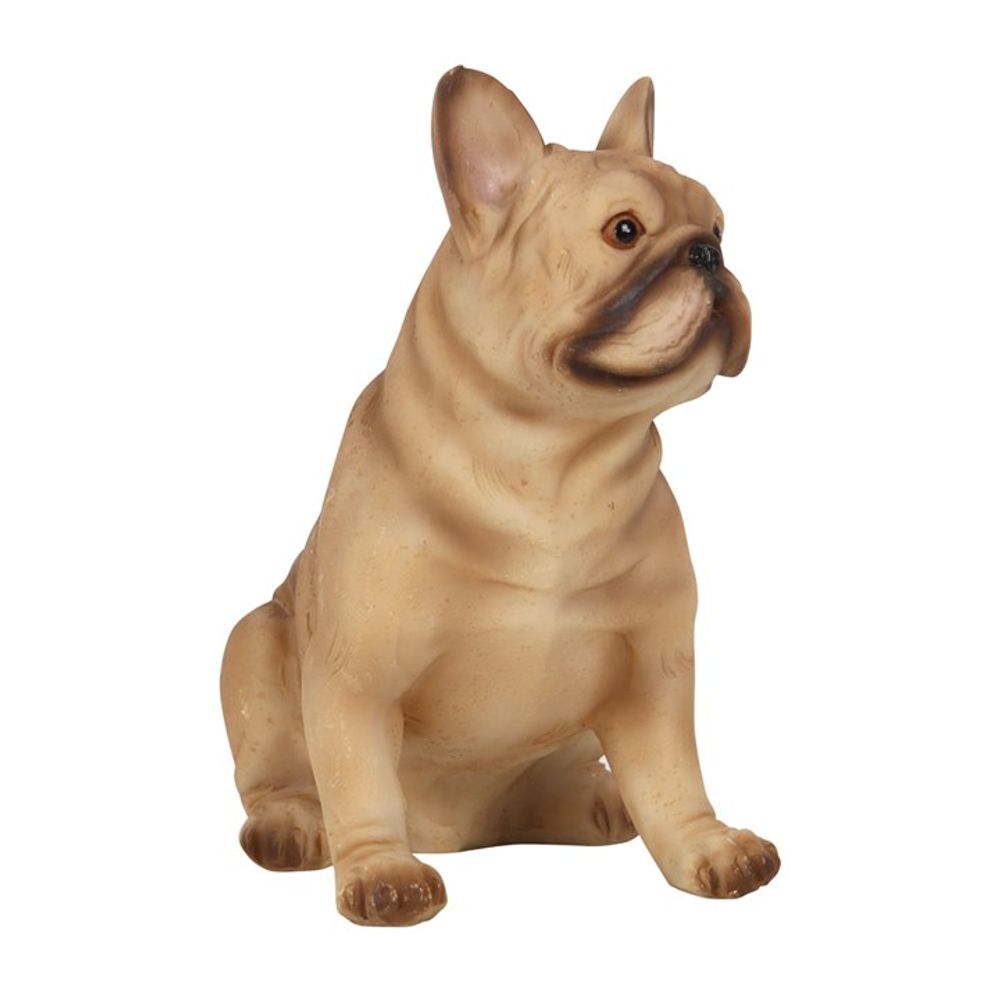 French Bull Dog Animal Figurine with Sentiment Card