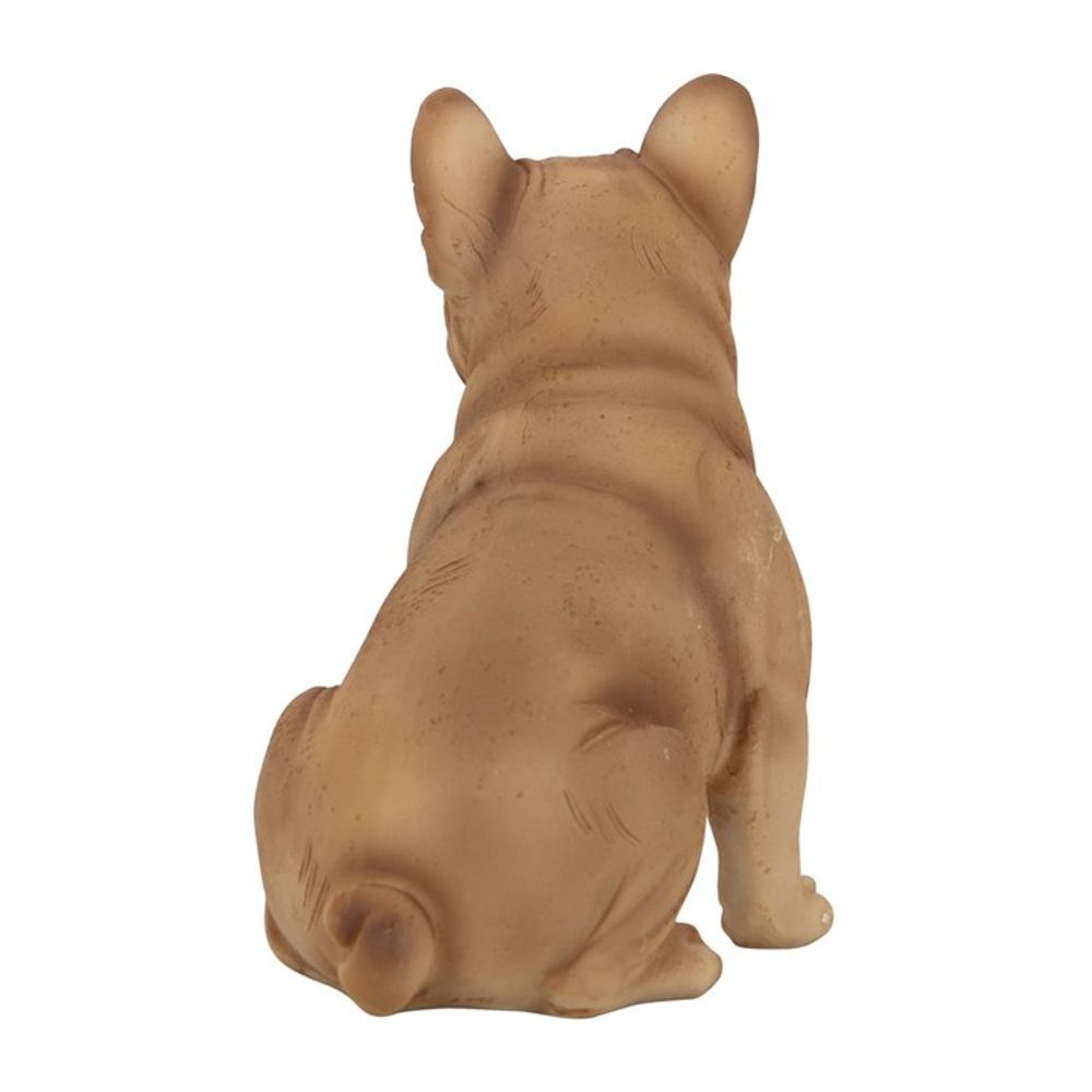French Bull Dog Animal Figurine with Sentiment Card