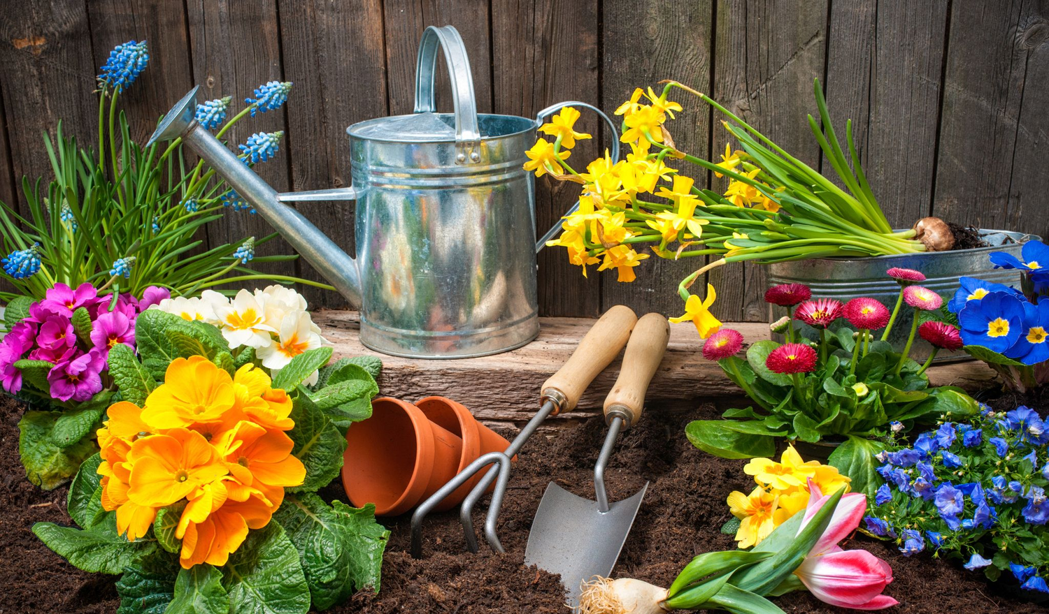 Gardening, Planters & Tools at Home To Gifts UK