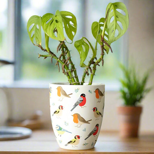 British Garden Birds All Over Print Ceramic White Plant Pot