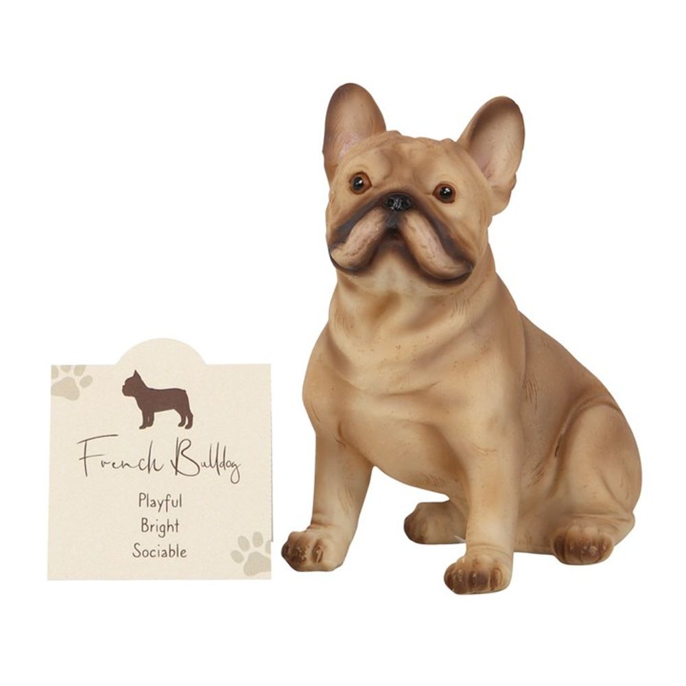 French Bull Dog Animal Figurine with Sentiment Card