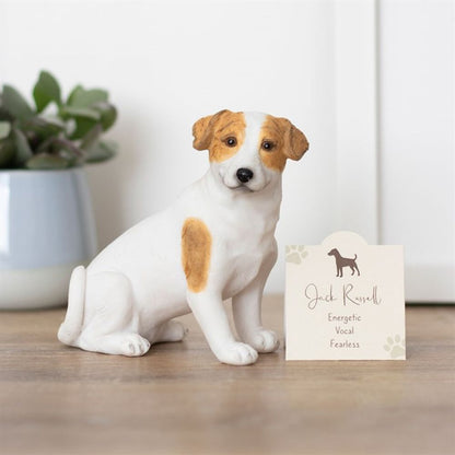 Jack Russell Terrier Dog Animal Figurine with Sentiment Card