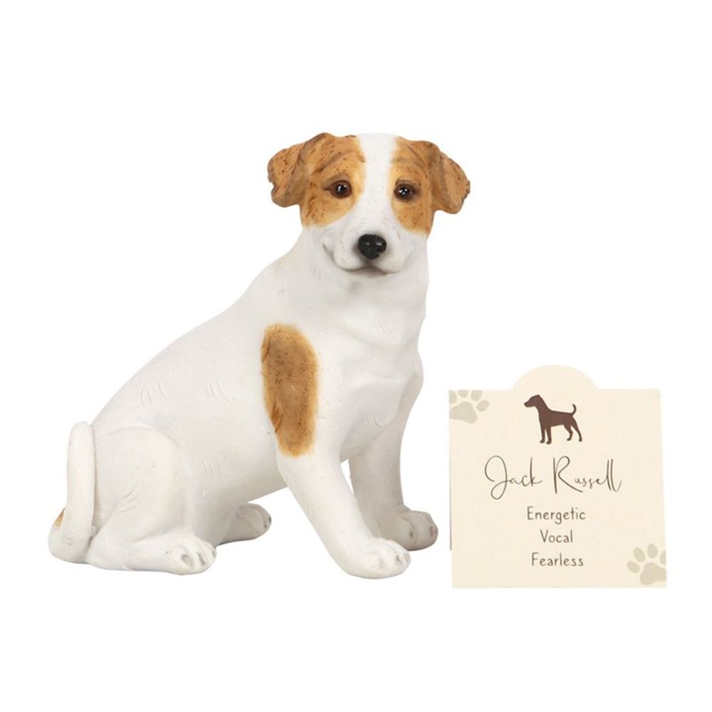 Jack Russell Terrier Dog Animal Figurine with Sentiment Card