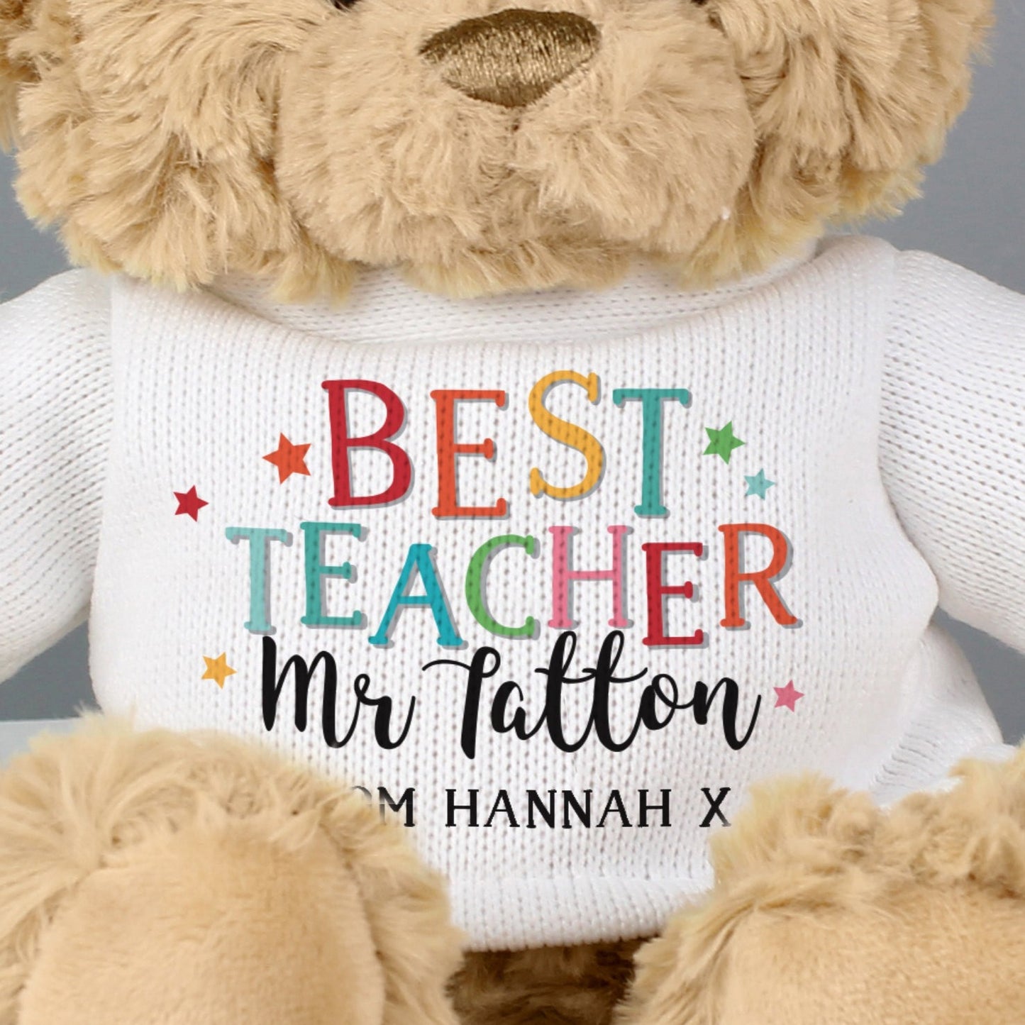 Personalised Best Teacher Plush Teddy Bear Soft Toy Gift