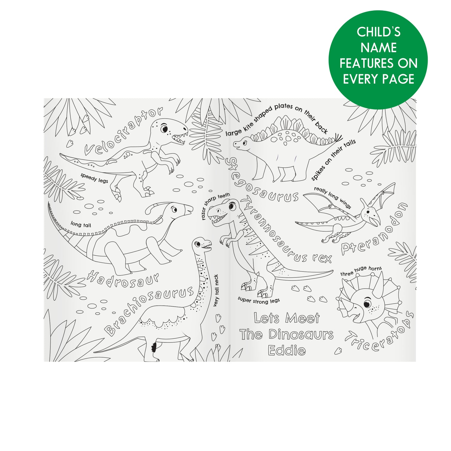 Personalised Dinosaur Colouring and Activity Book