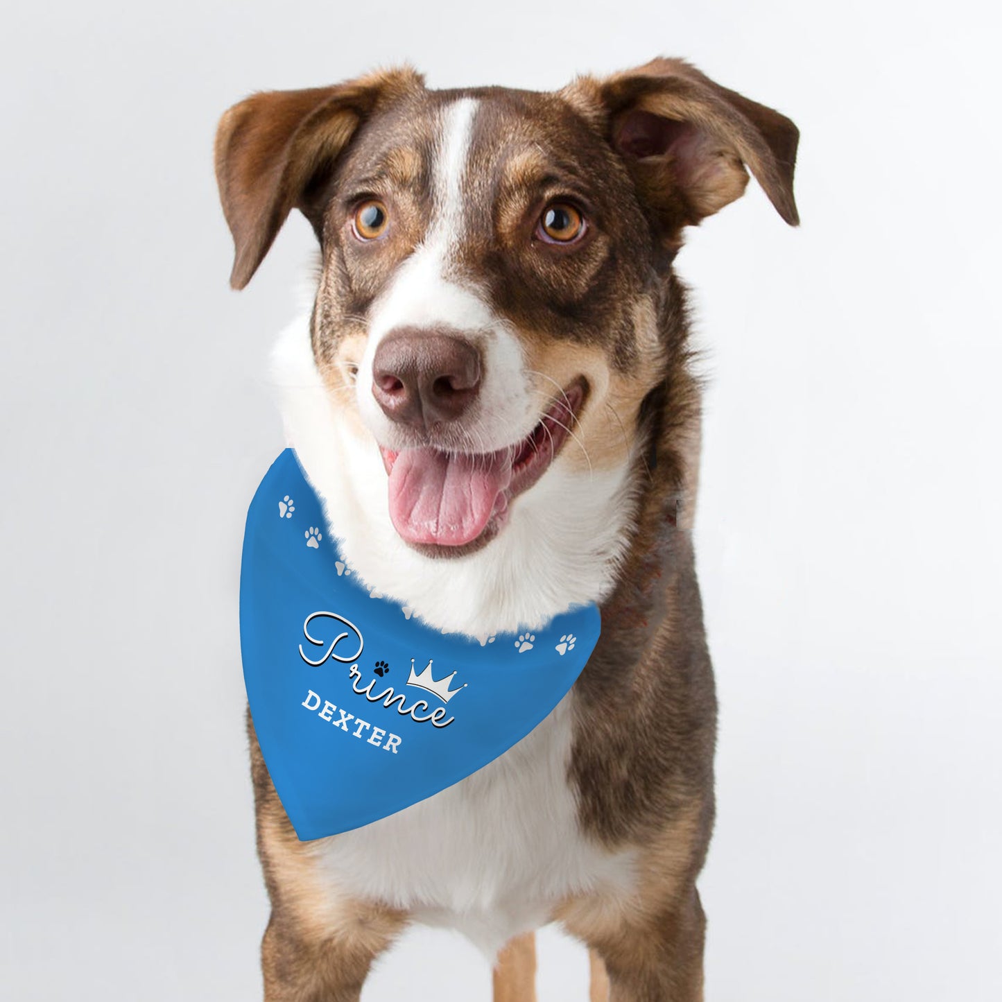 Personalised Name Prince Blue Crown Dog Bandana Pet Gifts