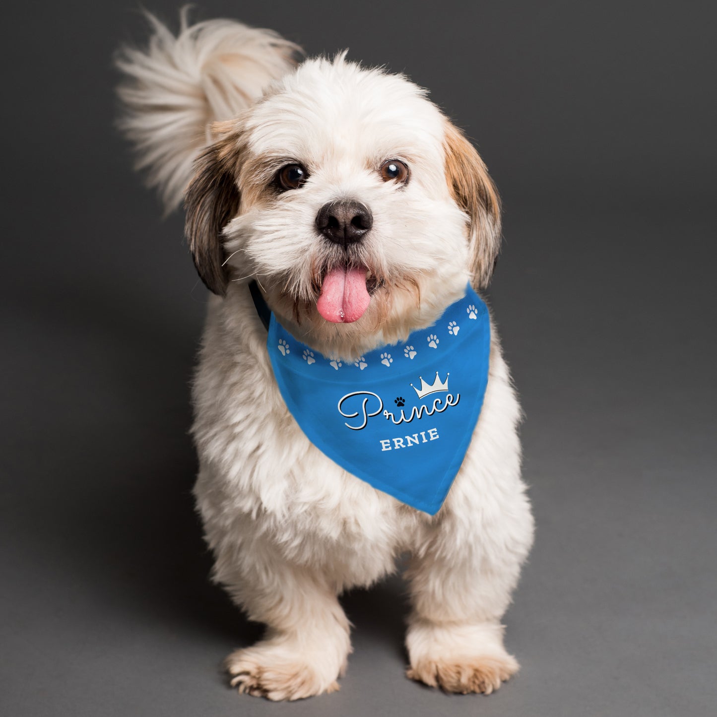 Personalised Name Prince Blue Crown Dog Bandana Pet Gifts