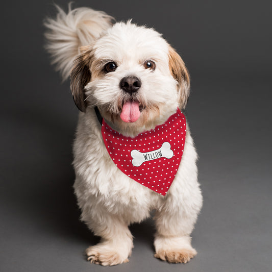 Personalised Name Red Polka Dot Dog Bandana Pet Gifts