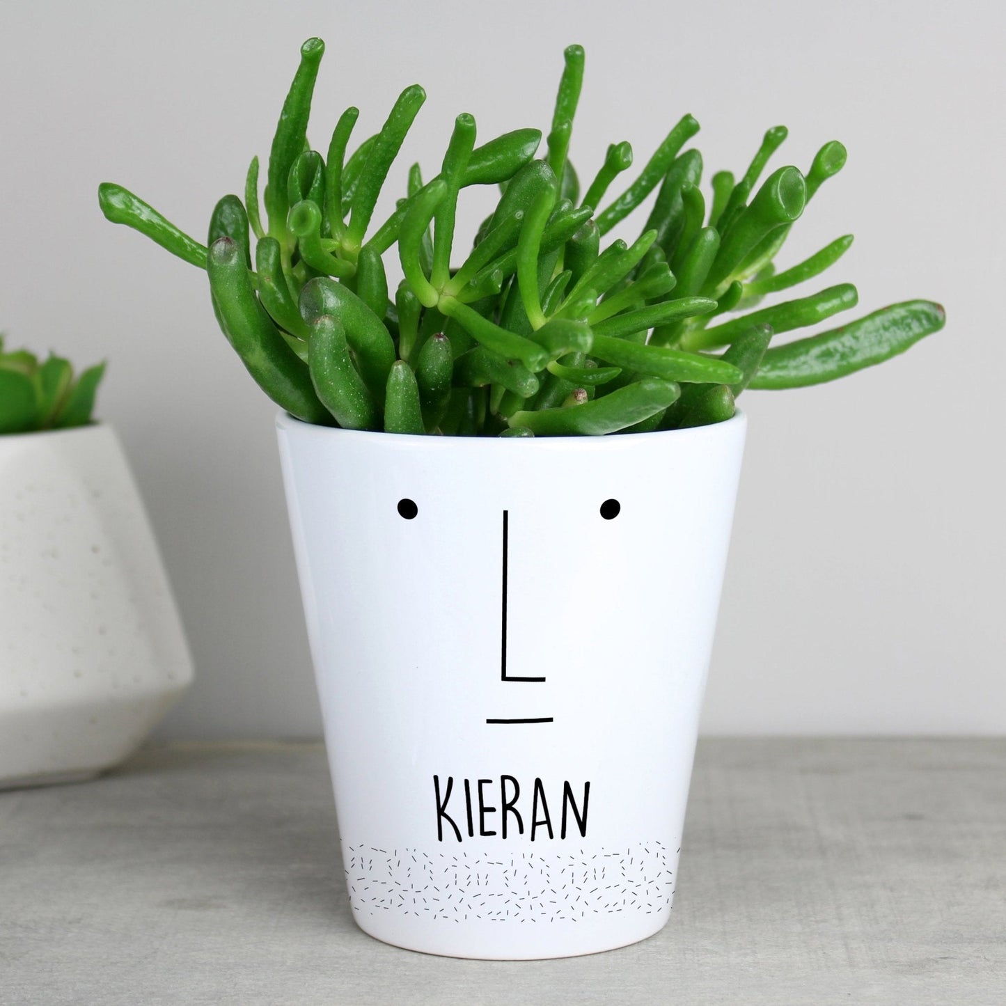 Personalised 'Mr Face' White Ceramic Plant Flower Pot