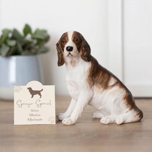 Springer Spaniel Dog Animal Figurine with Sentiment Card