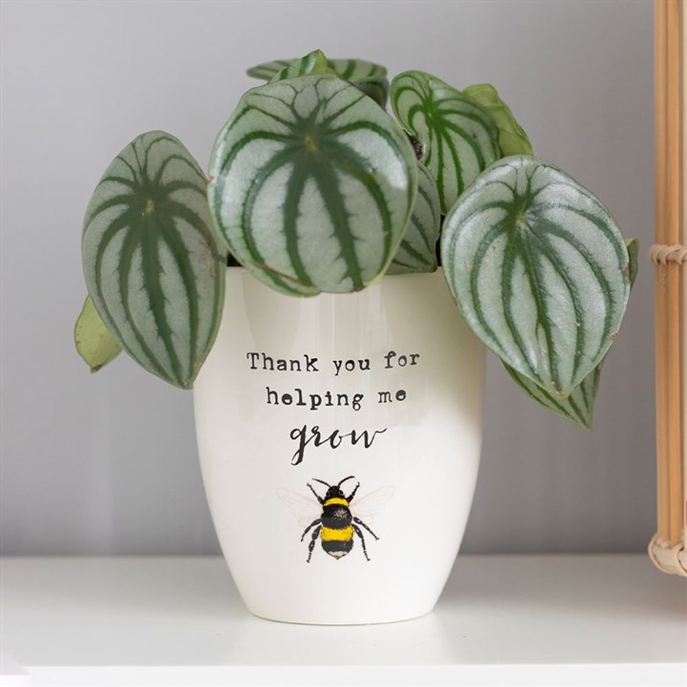 Thank You For Helping Me Grow Bee Print Ceramic Plant Pot